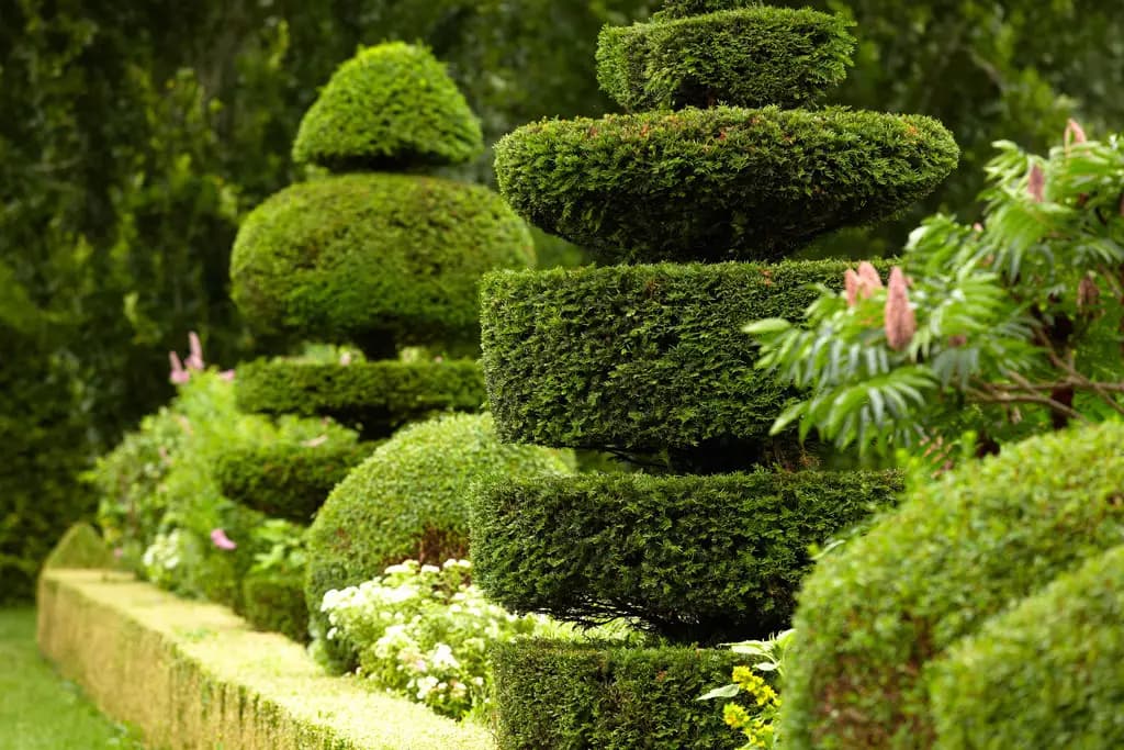 Taille, élagage & plantations à Genève