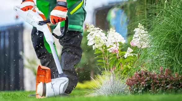 Entretien de jardin & pelouse