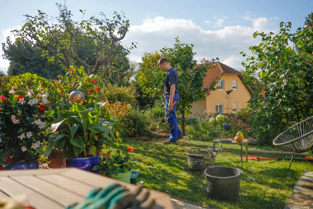 Paysagiste ou jardinier : quelle différence, qui appeler ?